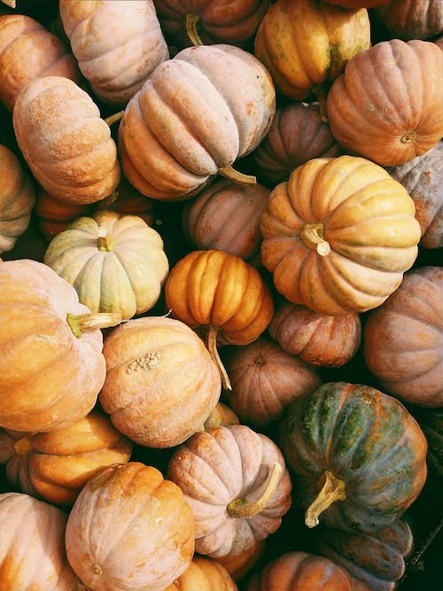 Pumpkins: Delicious and Nutritious
