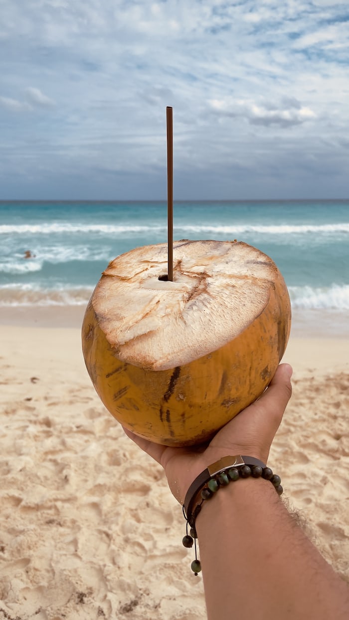 Read more about the article King Coconut Water: A Natural Electrolyte Drink